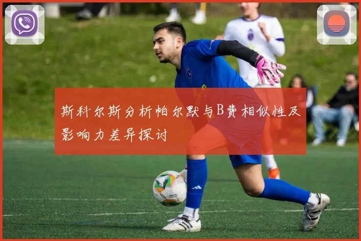 斯科尔斯分析帕尔默与B费相似性及影响力差异探讨