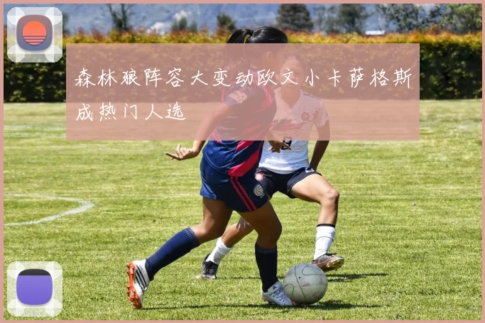 森林狼阵容大变动欧文小卡萨格斯成热门人选
