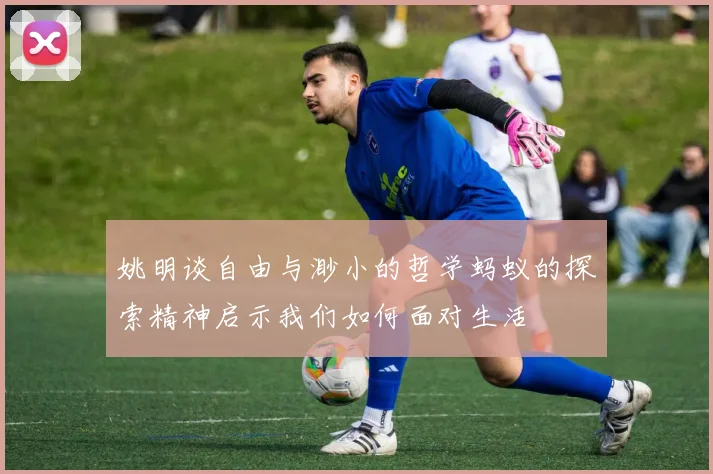 姚明谈自由与渺小的哲学蚂蚁的探索精神启示我们如何面对生活